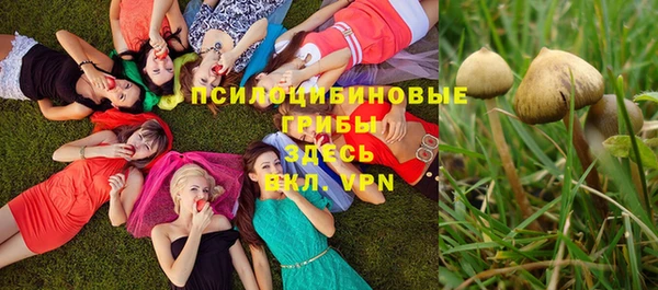 синтетический гашиш Алексин