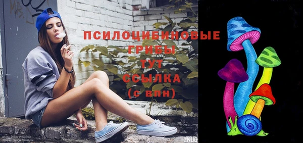 ECSTASY Абаза